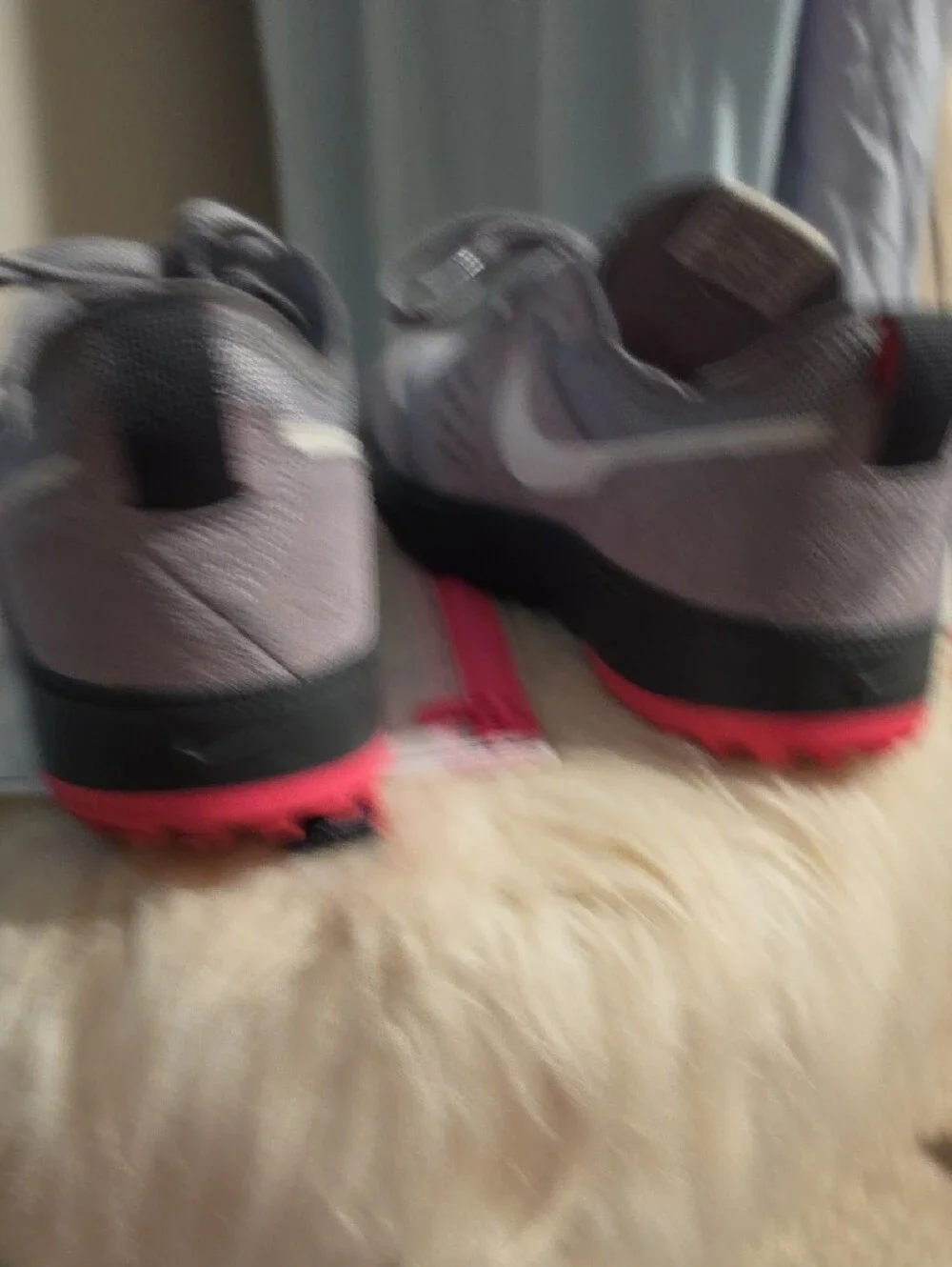 Nike Grey and Hot Pink Trainers